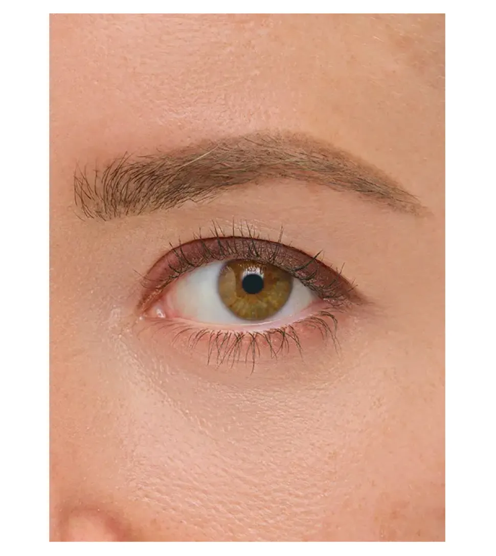 about-face - Delineador de ojos Line Artist - 2: Equestrian