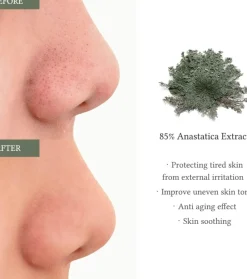 Almohadillas con extracto de Anastatica
