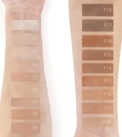 Base de maquillaje en polvo Pro Powder Foundation - F9