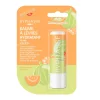 Bálsamo de labios Fruity - Melon & Propolis