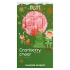 Bomba de baño chocolate - Cranberry Cheer
