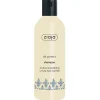 Champú alisador con Proteínas de Seda