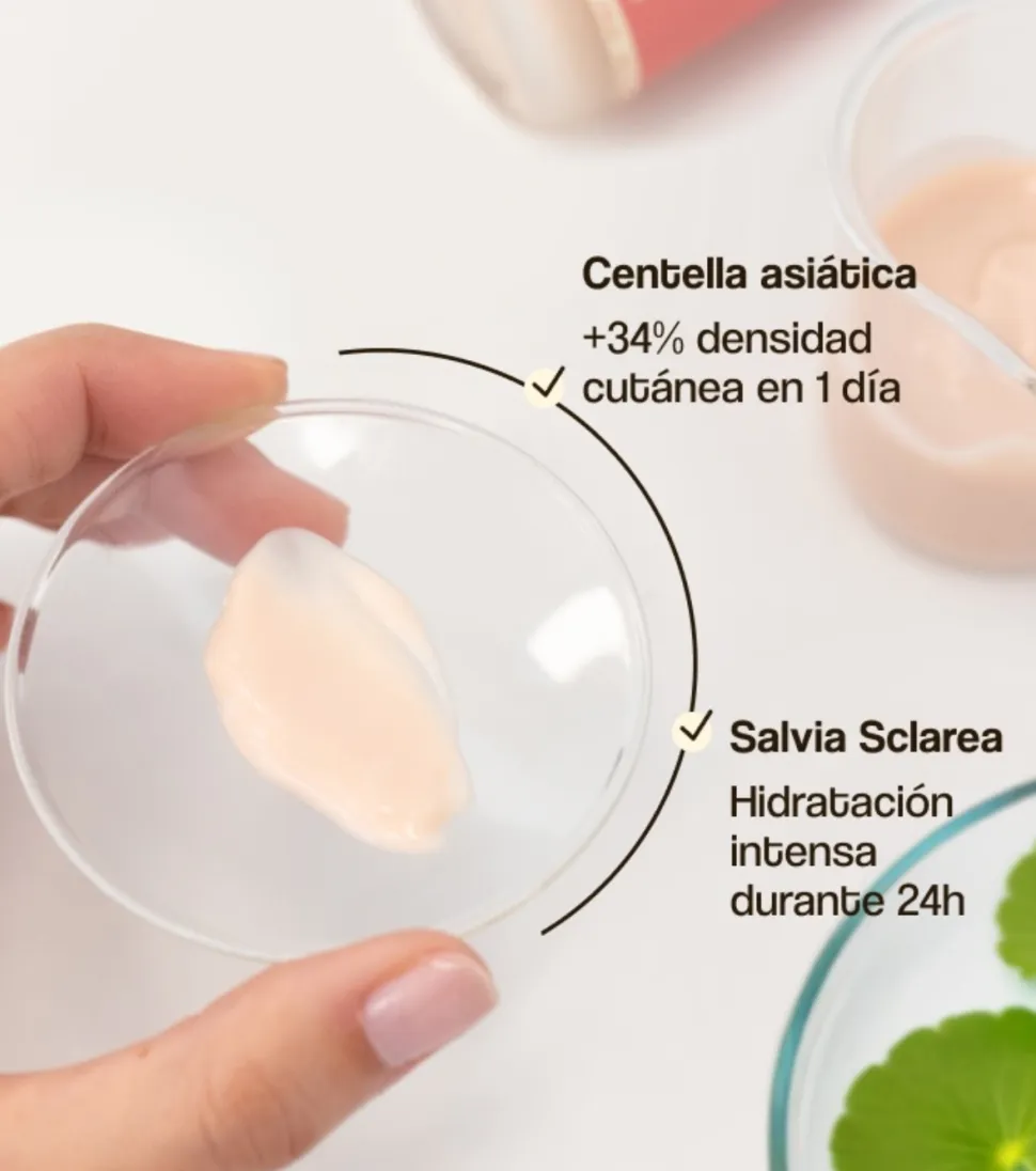 Crema hidratante de día con Centella Asiática CICA Calm - Pieles secas y sensibles