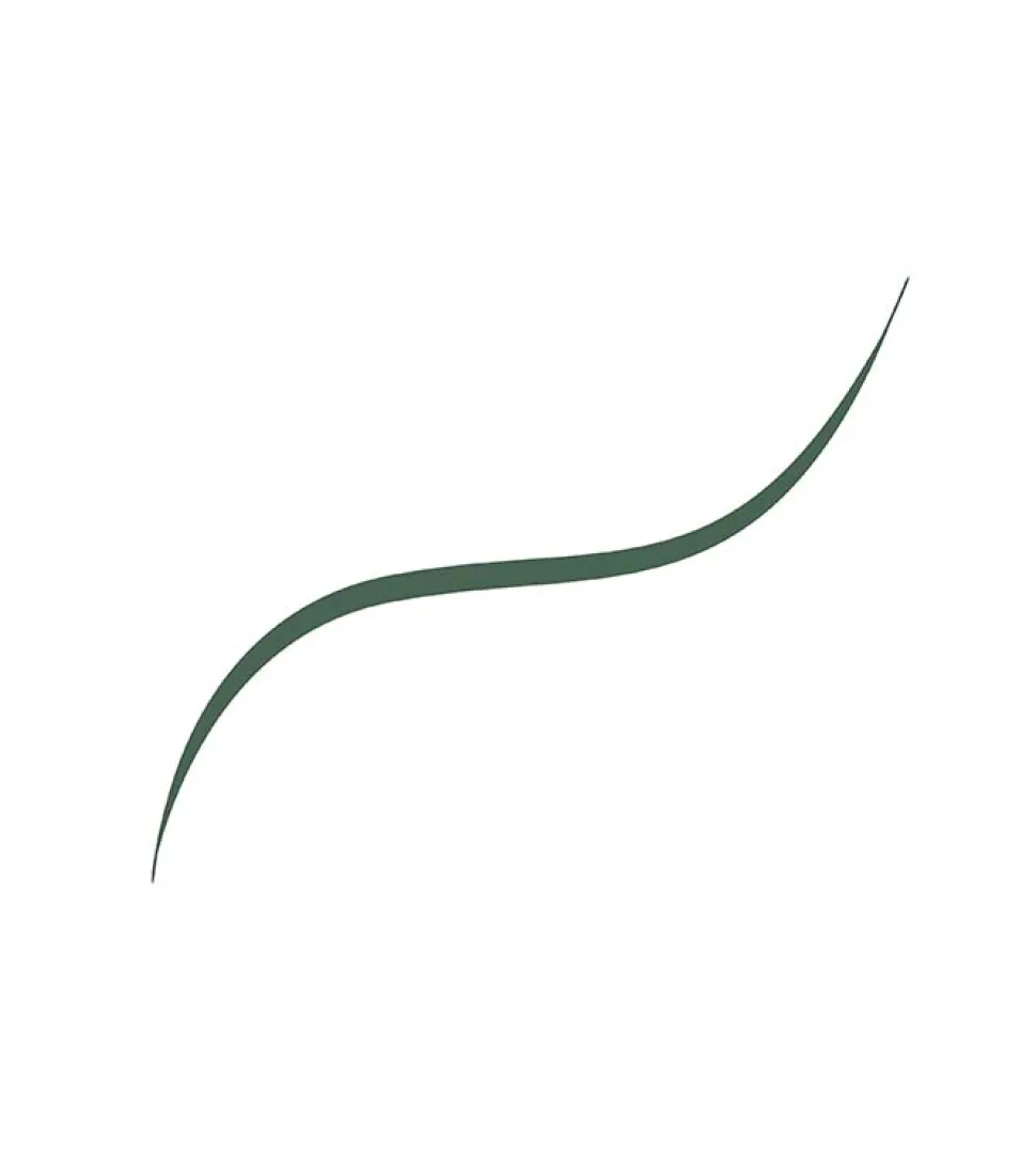 Delineador líquido Infallible Grip 36h Micro fine Brush - 05: Sage Green