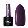 Esmalte semipermanente Soak off - 630: Purple