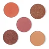 Pack de 5 sombras de ojos en godet magnéticas - Burnt