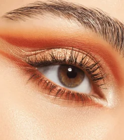 Paleta de sombras de ojos Slim Safari Fever