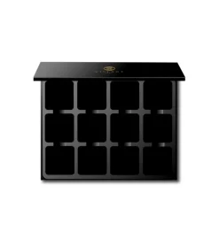 Paleta magnética vacía Empty 12-Well VISEPRO™