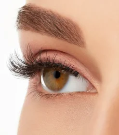 Pestañas postizas Natural Demi Wispies Black