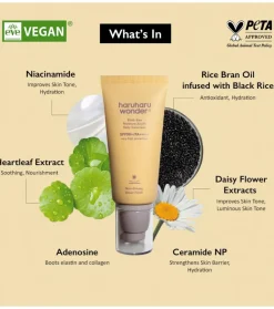 Protector solar Black Rice SPF50+/PA++++