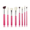 Set de brochas 8 piezas - T199: Carmine/Silver