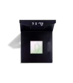 Sombra de ojos multicromo en godet Magnetic™ - Ganymede