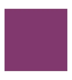 *Vegan Collagen* - Barra de labios HypoAllergenic Plumping Color Lipstick - 05: Plum